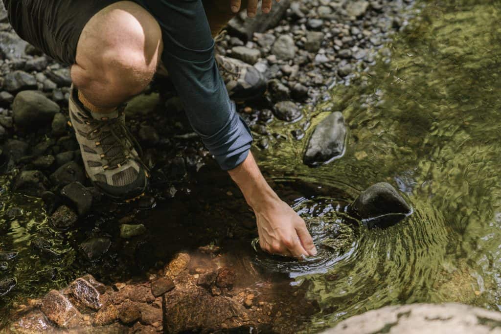 Purify water